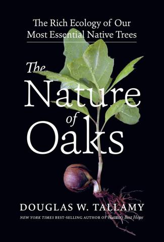 Nature of Oaks