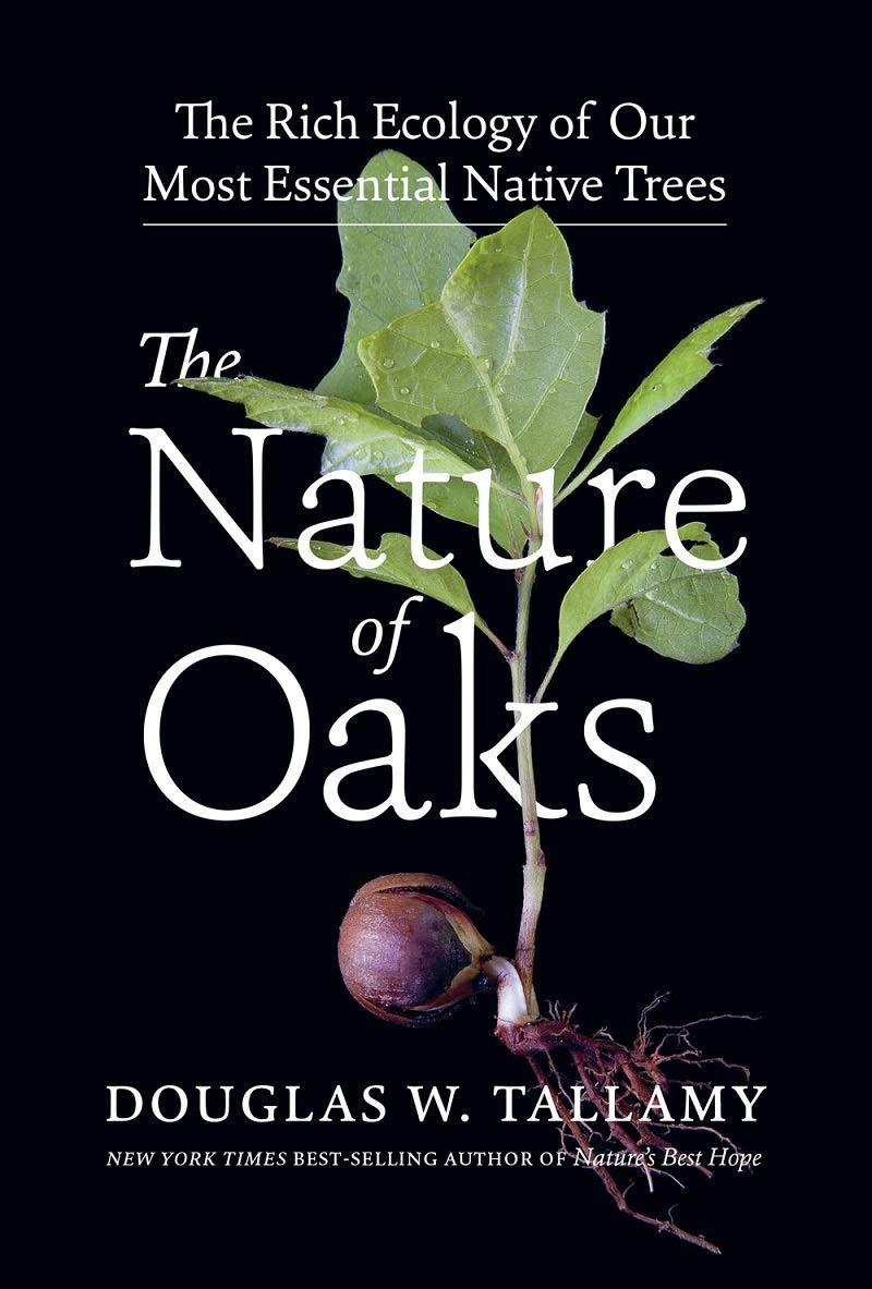 Oaks